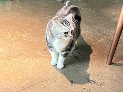 -咖法森林·咖啡  酒吧(天河店)