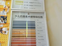 -勇气斑马·巴西柔术&跆拳道(浦东三林店)
