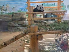 -西霞口神雕山野生动物世界