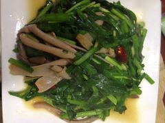 海肠韭菜-林记象山海鲜(广灵二路店)