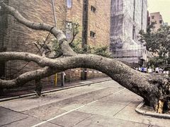 -大馆(前中区警署建築群)