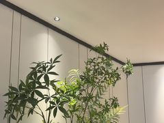 -炉鱼(萧山万象汇店)