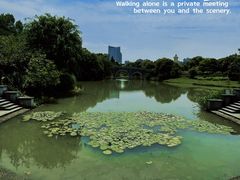 -奉浦四季生态园