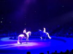 -珠海横琴长隆《卡卡虎奇遇记》