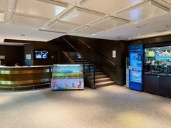 -齐动力网球(国贸店)