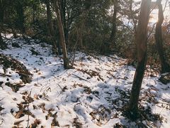 -惠山国家森林公园