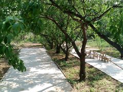 android_upload_pic-古韵山庄