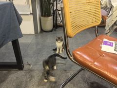 -老海陵·泰州菜(图书馆店)