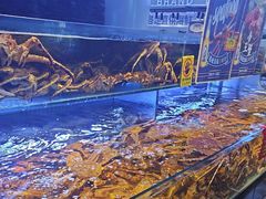 -驻海渔市(置信店)