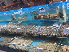 -晓伟海鲜家常菜