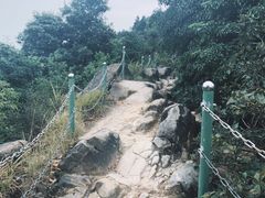 -南山植物园