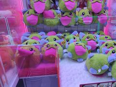 -城市动力(弘桥商城店)