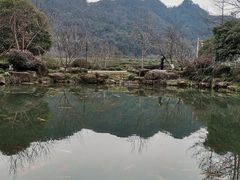 -中国茶叶博物馆(双峰馆区)
