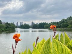 -洋湖国家湿地公园