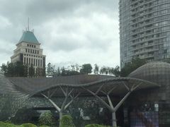 -爱雍·乌节