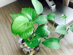 -锦江之星品尚(杭州西湖大道南宋御街店)