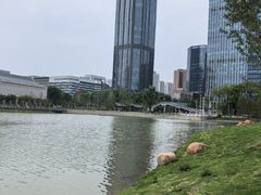 -后襄河公园