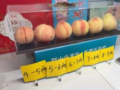 -老袁家蜜桃农场·阳山水蜜桃