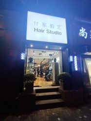 -付军剪艺