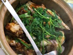 -锦湖农庄(松山湖梦幻百花洲店)