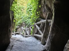 -游龙石文化科普馆