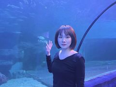 -左海海底世界
