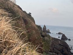 -涉地可支
