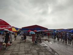 -南戴河海滨市场