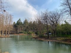 -西溪国家湿地公园