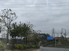 -辉程汤粉(沿江店)