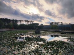 -微山湖红荷湿地景区