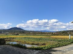 -和顺古镇