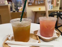 -滚猫咖啡·猫咖·猫友好撸猫(未来城店)