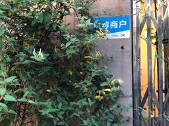 -吴家馄饨