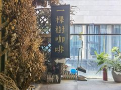 -一棵树咖啡馆(泉乐坊店)