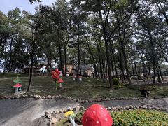 -沂蒙山旅游区云蒙景区(蒙山国家森林公园)