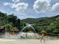-西双版纳原始森林公园
