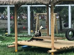 -西安秦岭野生动物园