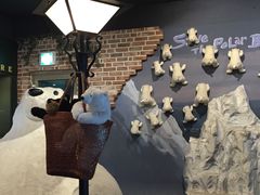 -济州岛泰迪熊博物馆