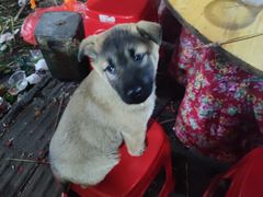 -井格·重庆火锅(王府井店)