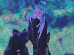 -正佳极地海洋世界