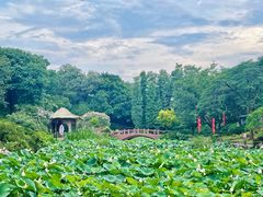 -广州莲花山旅游区