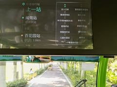 -合肥滨湖国家森林公园