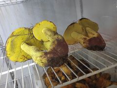 -双喜农庄·菌香园(安居家园店)