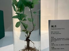 -深圳博物馆(古代艺术馆)