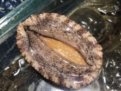-王四营海鲜市场