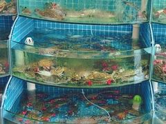 -蓝珊甄选海鲜自助·火锅大排档(近阿那亚店)