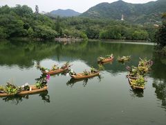 -深圳仙湖植物园
