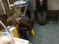 -e嘉宠物店(北大街店)