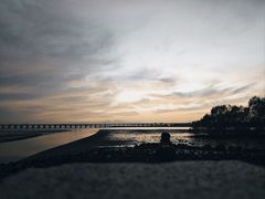 -宝安西湾红树林湿地公园